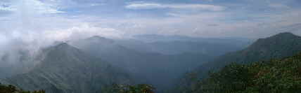 0309136456