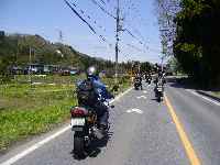 06050336