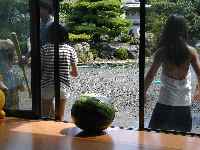 08081504